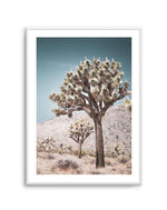Joshua Tree III | Soft Art Print-PRINT-Olive et Oriel-Olive et Oriel-A4 | 8.3" x 11.7" | 21 x 29.7cm-Unframed Art Print-With White Border-Buy-Australian-Art-Prints-Online-with-Olive-et-Oriel-Your-Artwork-Specialists-Austrailia-Decorate-With-Coastal-Photo-Wall-Art-Prints-From-Our-Beach-House-Artwork-Collection-Fine-Poster-and-Framed-Artwork