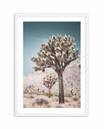 Joshua Tree III | Soft Art Print-PRINT-Olive et Oriel-Olive et Oriel-A4 | 8.3" x 11.7" | 21 x 29.7cm-White-With White Border-Buy-Australian-Art-Prints-Online-with-Olive-et-Oriel-Your-Artwork-Specialists-Austrailia-Decorate-With-Coastal-Photo-Wall-Art-Prints-From-Our-Beach-House-Artwork-Collection-Fine-Poster-and-Framed-Artwork