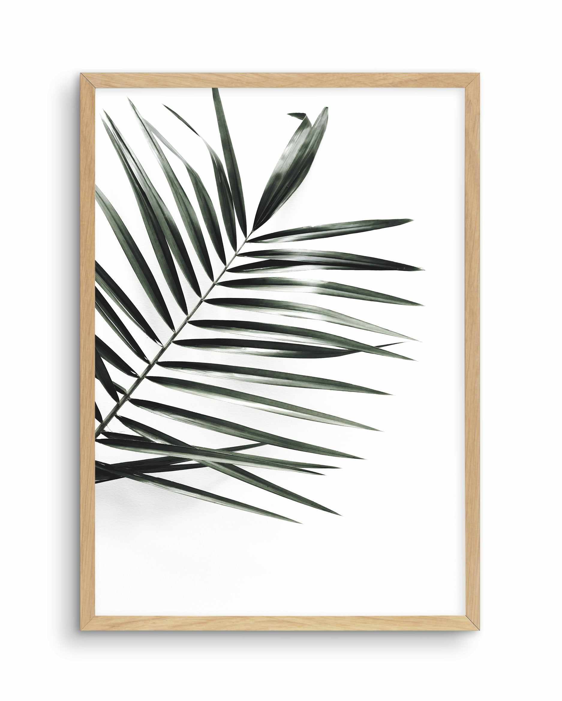 Jungalow Art Print-PRINT-Olive et Oriel-Olive et Oriel-A5 | 5.8" x 8.3" | 14.8 x 21cm-Oak-With White Border-Buy-Australian-Art-Prints-Online-with-Olive-et-Oriel-Your-Artwork-Specialists-Austrailia-Decorate-With-Coastal-Photo-Wall-Art-Prints-From-Our-Beach-House-Artwork-Collection-Fine-Poster-and-Framed-Artwork