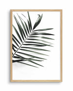 Jungalow Art Print-PRINT-Olive et Oriel-Olive et Oriel-A5 | 5.8" x 8.3" | 14.8 x 21cm-Oak-With White Border-Buy-Australian-Art-Prints-Online-with-Olive-et-Oriel-Your-Artwork-Specialists-Austrailia-Decorate-With-Coastal-Photo-Wall-Art-Prints-From-Our-Beach-House-Artwork-Collection-Fine-Poster-and-Framed-Artwork