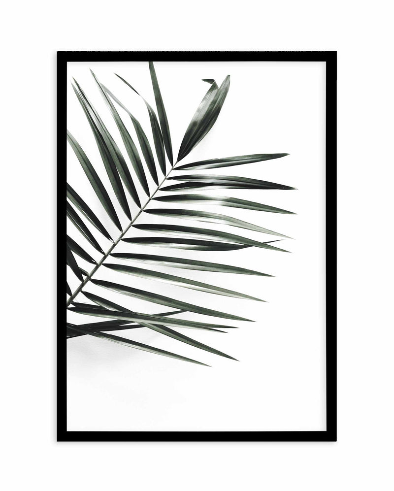 Jungalow Art Print-PRINT-Olive et Oriel-Olive et Oriel-A5 | 5.8" x 8.3" | 14.8 x 21cm-Black-With White Border-Buy-Australian-Art-Prints-Online-with-Olive-et-Oriel-Your-Artwork-Specialists-Austrailia-Decorate-With-Coastal-Photo-Wall-Art-Prints-From-Our-Beach-House-Artwork-Collection-Fine-Poster-and-Framed-Artwork