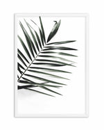 Jungalow Art Print-PRINT-Olive et Oriel-Olive et Oriel-A5 | 5.8" x 8.3" | 14.8 x 21cm-White-With White Border-Buy-Australian-Art-Prints-Online-with-Olive-et-Oriel-Your-Artwork-Specialists-Austrailia-Decorate-With-Coastal-Photo-Wall-Art-Prints-From-Our-Beach-House-Artwork-Collection-Fine-Poster-and-Framed-Artwork