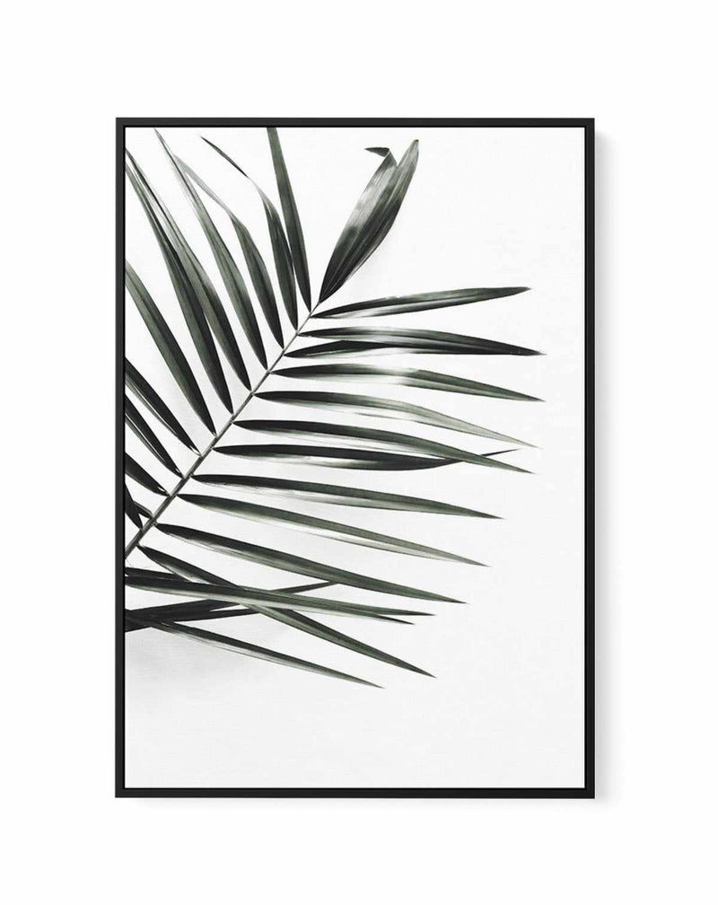 Jungalow | Framed Canvas-CANVAS-You can shop wall art online with Olive et Oriel for everything from abstract art to fun kids wall art. Our beautiful modern art prints and canvas art are available from large canvas prints to wall art paintings and our proudly Australian artwork collection offers only the highest quality framed large wall art and canvas art Australia - You can buy fashion photography prints or Hampton print posters and paintings on canvas from Olive et Oriel and have them deliver