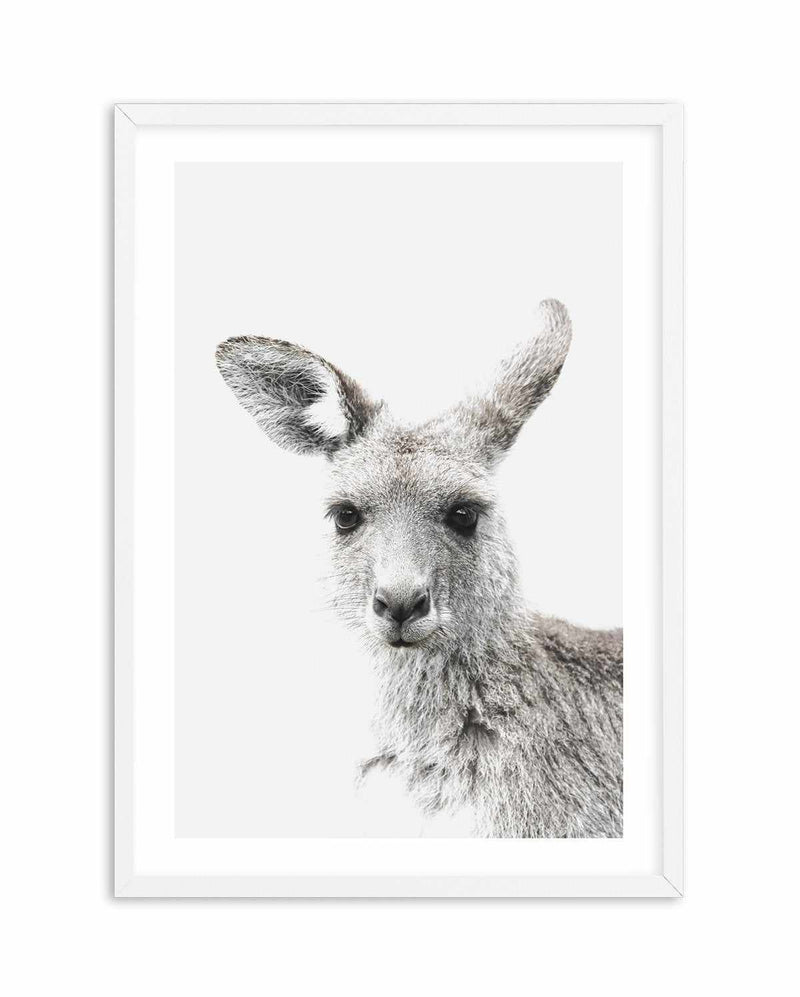 Kangaroo Art Print-PRINT-Olive et Oriel-Olive et Oriel-A4 | 8.3" x 11.7" | 21 x 29.7cm-White-With White Border-Buy-Australian-Art-Prints-Online-with-Olive-et-Oriel-Your-Artwork-Specialists-Austrailia-Decorate-With-Coastal-Photo-Wall-Art-Prints-From-Our-Beach-House-Artwork-Collection-Fine-Poster-and-Framed-Artwork