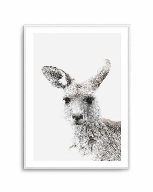 Kangaroo Art Print-PRINT-Olive et Oriel-Olive et Oriel-A4 | 8.3" x 11.7" | 21 x 29.7cm-Unframed Art Print-With White Border-Buy-Australian-Art-Prints-Online-with-Olive-et-Oriel-Your-Artwork-Specialists-Austrailia-Decorate-With-Coastal-Photo-Wall-Art-Prints-From-Our-Beach-House-Artwork-Collection-Fine-Poster-and-Framed-Artwork