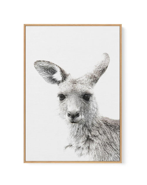 Kangaroo | Framed Canvas-CANVAS-You can shop wall art online with Olive et Oriel for everything from abstract art to fun kids wall art. Our beautiful modern art prints and canvas art are available from large canvas prints to wall art paintings and our proudly Australian artwork collection offers only the highest quality framed large wall art and canvas art Australia - You can buy fashion photography prints or Hampton print posters and paintings on canvas from Olive et Oriel and have them deliver