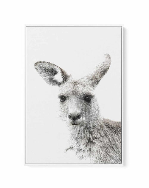 Kangaroo | Framed Canvas-CANVAS-You can shop wall art online with Olive et Oriel for everything from abstract art to fun kids wall art. Our beautiful modern art prints and canvas art are available from large canvas prints to wall art paintings and our proudly Australian artwork collection offers only the highest quality framed large wall art and canvas art Australia - You can buy fashion photography prints or Hampton print posters and paintings on canvas from Olive et Oriel and have them deliver