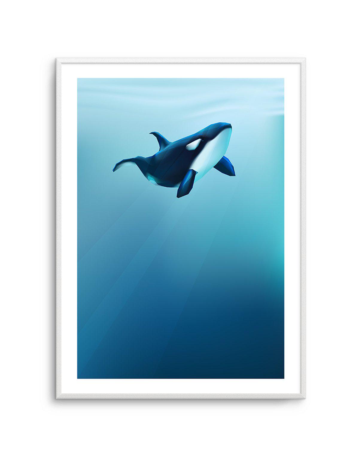 Killer | Graphic Whales Collection Art Print-PRINT-Olive et Oriel-Olive et Oriel-A5 | 5.8" x 8.3" | 14.8 x 21cm-Unframed Art Print-With White Border-Buy-Australian-Art-Prints-Online-with-Olive-et-Oriel-Your-Artwork-Specialists-Austrailia-Decorate-With-Coastal-Photo-Wall-Art-Prints-From-Our-Beach-House-Artwork-Collection-Fine-Poster-and-Framed-Artwork