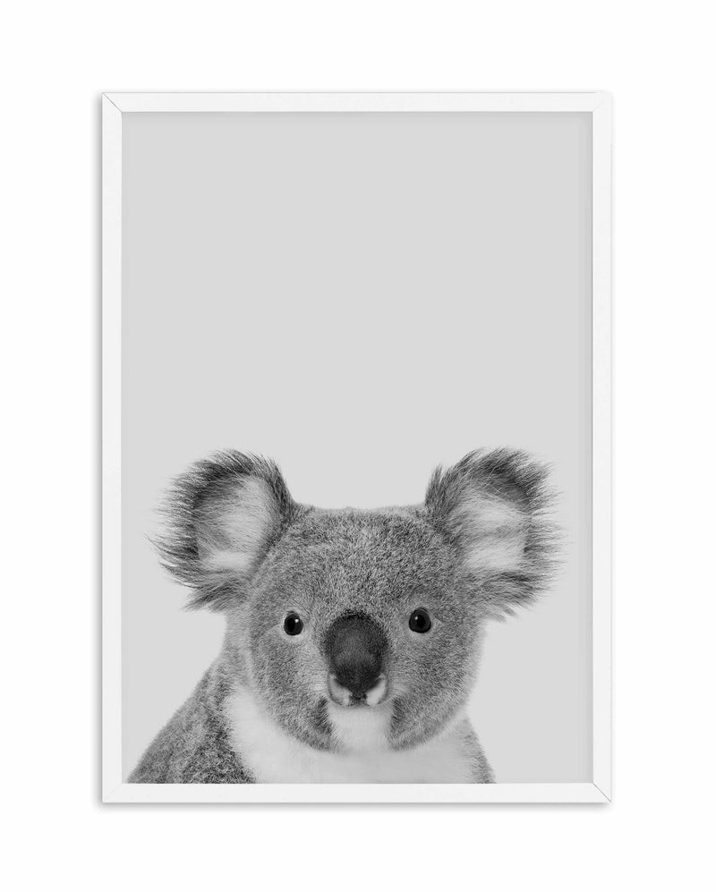 Koala | Grey Art Print-PRINT-Olive et Oriel-Olive et Oriel-A5 | 5.8" x 8.3" | 14.8 x 21cm-White-With White Border-Buy-Australian-Art-Prints-Online-with-Olive-et-Oriel-Your-Artwork-Specialists-Austrailia-Decorate-With-Coastal-Photo-Wall-Art-Prints-From-Our-Beach-House-Artwork-Collection-Fine-Poster-and-Framed-Artwork