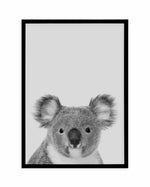 Koala | Grey Art Print-PRINT-Olive et Oriel-Olive et Oriel-A5 | 5.8" x 8.3" | 14.8 x 21cm-Black-With White Border-Buy-Australian-Art-Prints-Online-with-Olive-et-Oriel-Your-Artwork-Specialists-Austrailia-Decorate-With-Coastal-Photo-Wall-Art-Prints-From-Our-Beach-House-Artwork-Collection-Fine-Poster-and-Framed-Artwork