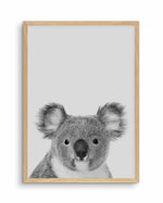 Koala | Grey Art Print-PRINT-Olive et Oriel-Olive et Oriel-A5 | 5.8" x 8.3" | 14.8 x 21cm-Oak-With White Border-Buy-Australian-Art-Prints-Online-with-Olive-et-Oriel-Your-Artwork-Specialists-Austrailia-Decorate-With-Coastal-Photo-Wall-Art-Prints-From-Our-Beach-House-Artwork-Collection-Fine-Poster-and-Framed-Artwork