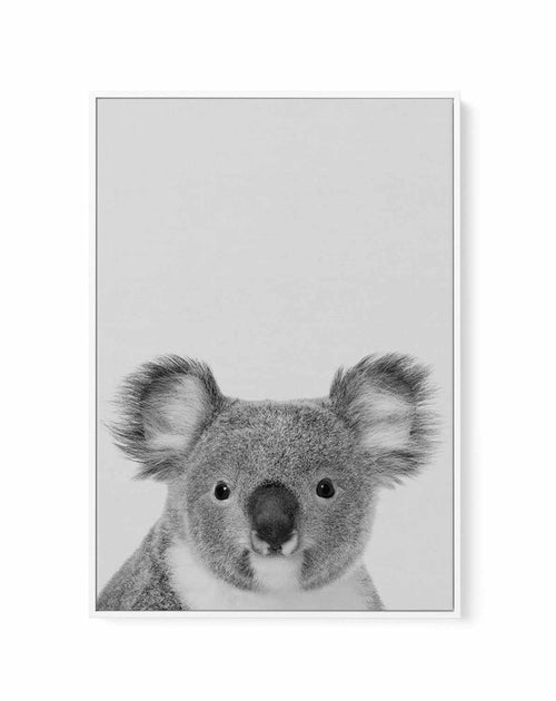Koala | Grey | Framed Canvas-CANVAS-You can shop wall art online with Olive et Oriel for everything from abstract art to fun kids wall art. Our beautiful modern art prints and canvas art are available from large canvas prints to wall art paintings and our proudly Australian artwork collection offers only the highest quality framed large wall art and canvas art Australia - You can buy fashion photography prints or Hampton print posters and paintings on canvas from Olive et Oriel and have them del