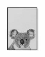 Koala | Grey | Framed Canvas-CANVAS-You can shop wall art online with Olive et Oriel for everything from abstract art to fun kids wall art. Our beautiful modern art prints and canvas art are available from large canvas prints to wall art paintings and our proudly Australian artwork collection offers only the highest quality framed large wall art and canvas art Australia - You can buy fashion photography prints or Hampton print posters and paintings on canvas from Olive et Oriel and have them del