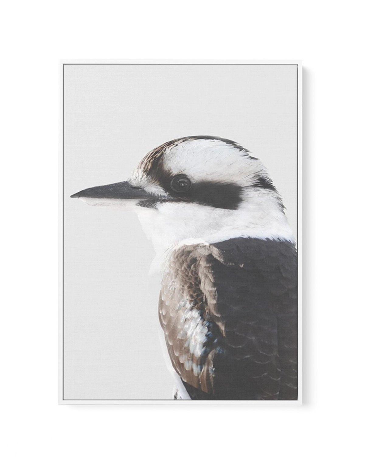 Kookaburra I | Framed Canvas-CANVAS-You can shop wall art online with Olive et Oriel for everything from abstract art to fun kids wall art. Our beautiful modern art prints and canvas art are available from large canvas prints to wall art paintings and our proudly Australian artwork collection offers only the highest quality framed large wall art and canvas art Australia - You can buy fashion photography prints or Hampton print posters and paintings on canvas from Olive et Oriel and have them del