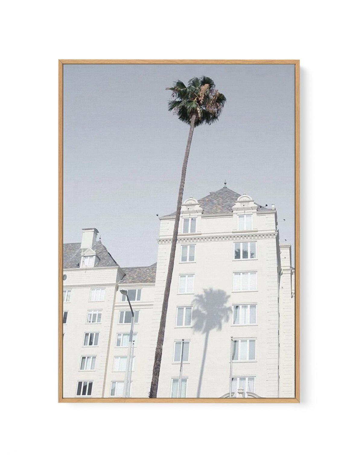 LA City Palm | Framed Canvas-CANVAS-You can shop wall art online with Olive et Oriel for everything from abstract art to fun kids wall art. Our beautiful modern art prints and canvas art are available from large canvas prints to wall art paintings and our proudly Australian artwork collection offers only the highest quality framed large wall art and canvas art Australia - You can buy fashion photography prints or Hampton print posters and paintings on canvas from Olive et Oriel and have them del