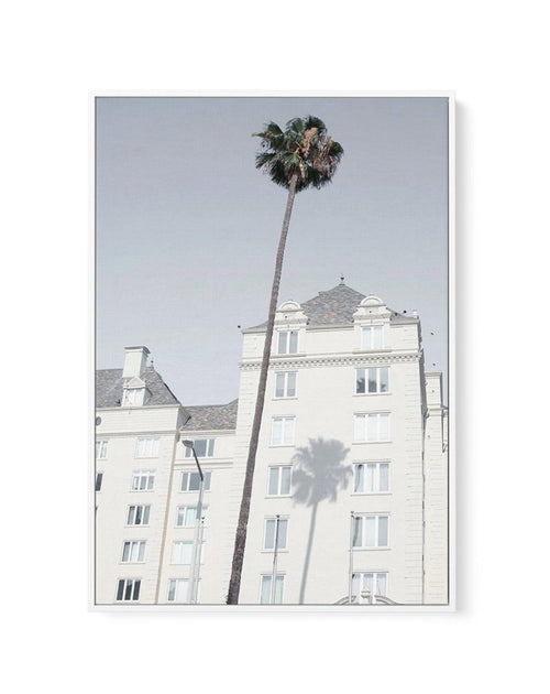 LA City Palm | Framed Canvas-CANVAS-You can shop wall art online with Olive et Oriel for everything from abstract art to fun kids wall art. Our beautiful modern art prints and canvas art are available from large canvas prints to wall art paintings and our proudly Australian artwork collection offers only the highest quality framed large wall art and canvas art Australia - You can buy fashion photography prints or Hampton print posters and paintings on canvas from Olive et Oriel and have them del