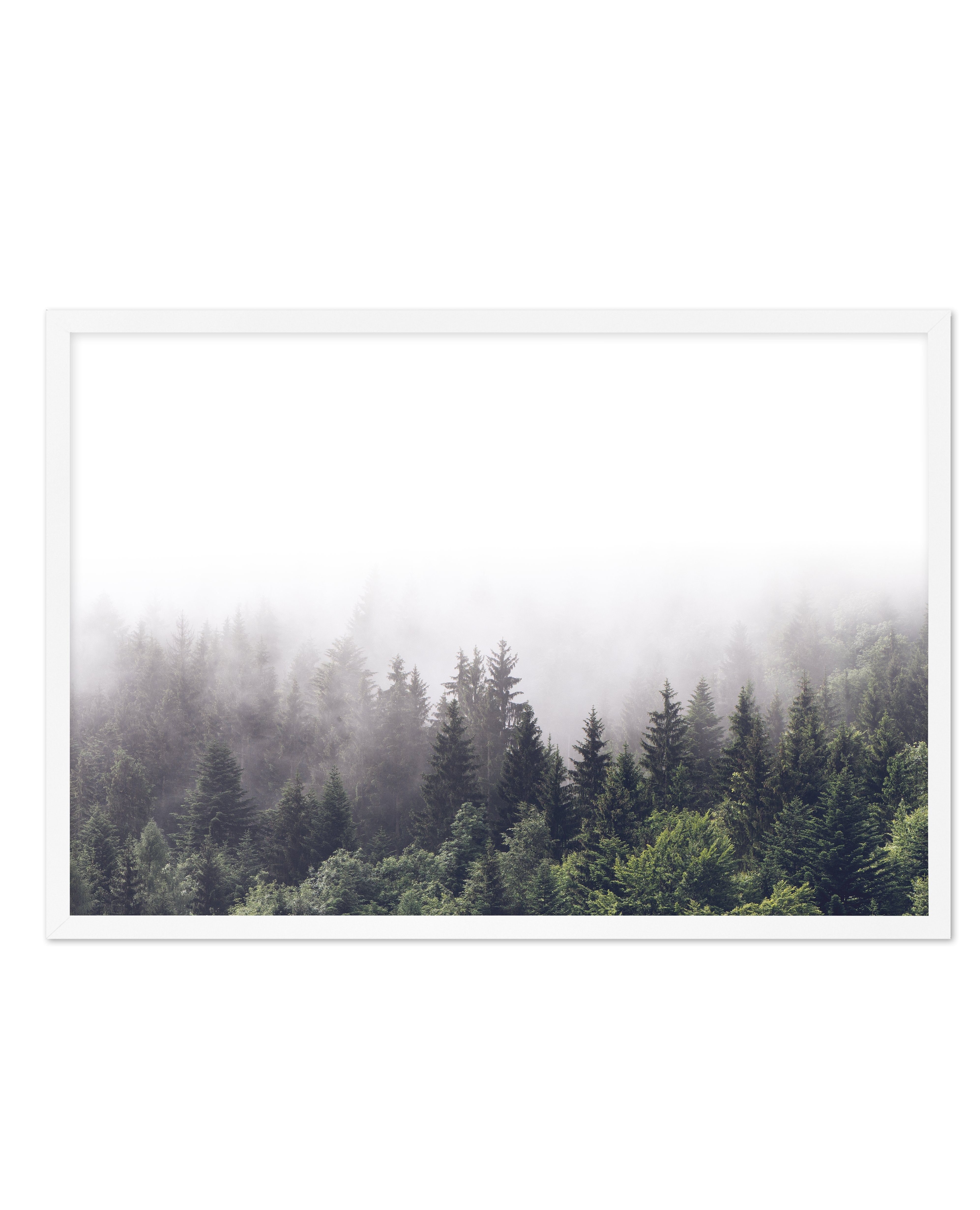 La ForâˆšÂ¢Ã€Ãœâ‰ˆÂ°âˆšÃ‰â€šÃ„âˆžâˆšÂ¢Ã€Ãœâ€šÃ„â€ âˆšÃ‰Â¬â‰ âˆšÂ¢Ã€Ãœâ‰ˆÂ°âˆšÃ‰â‰ˆÃ¬âˆšÂ¢â€šÃ‡Â¨â‰ˆÂ°âˆšÃ‰â€šÃ„Ã»âˆšÃ‰Â¬Â¥âˆšÂ¢Ã€Ãœâ‰ˆÂ°âˆšÃ‰â€šÃ„âˆžâˆšÂ¢â€šÃ‡Â¨â‰ˆÂ°âˆšÃ‰â€šÃ„Ã»âˆšÃ‰Â¬âˆ‚âˆšÂ¢Ã€Ãœâ‰ˆÂ°âˆšÃ‰â€šÃ„Â°âˆšÃ‡Â¬Â¨âˆšÂ¢â€šÃ„Ã»Â¬Â¢t LS - Olive et Oriel | Shop Art Prints & Posters Online