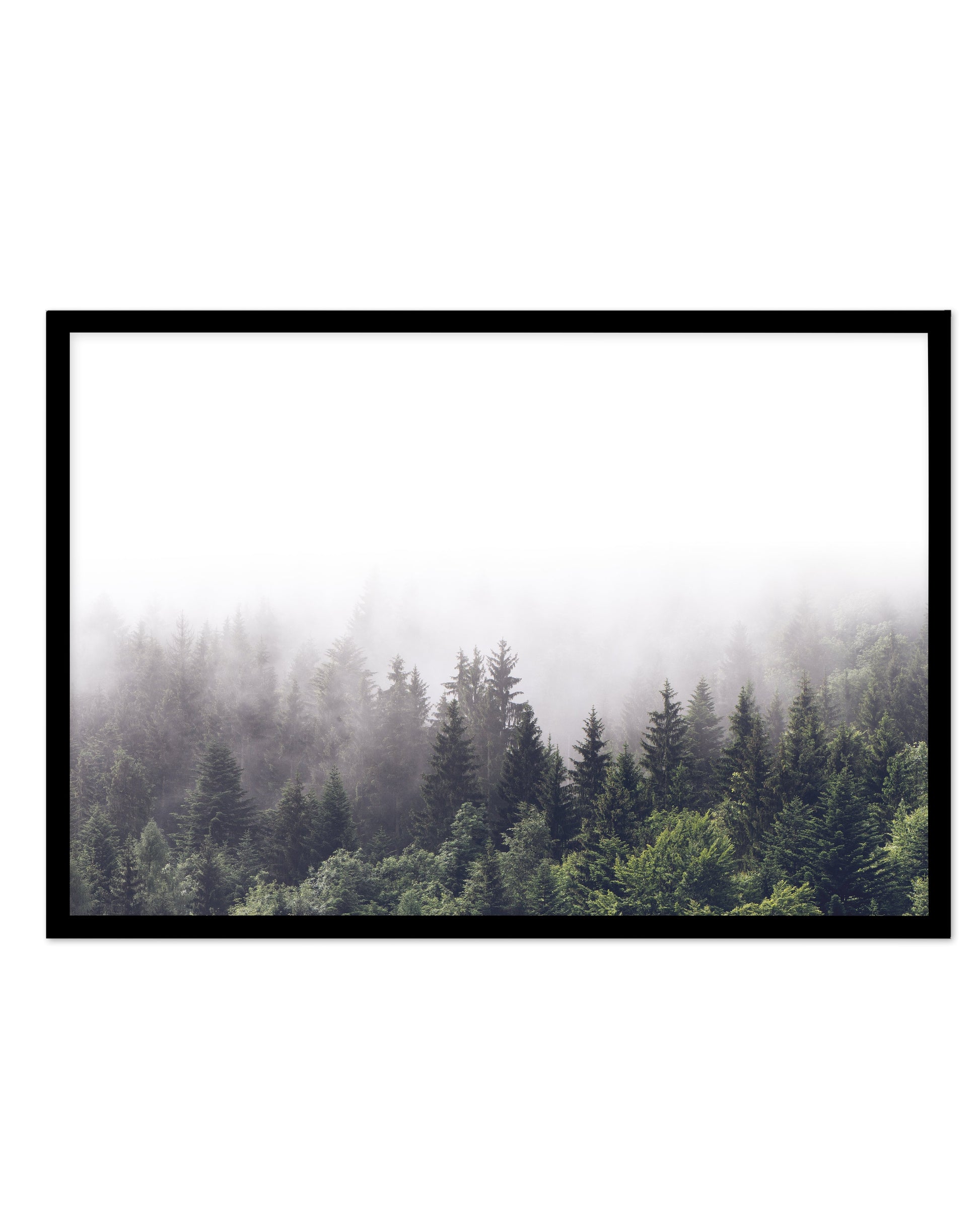 La ForâˆšÂ¢Ã€Ãœâ‰ˆÂ°âˆšÃ‰â€šÃ„âˆžâˆšÂ¢Ã€Ãœâ€šÃ„â€ âˆšÃ‰Â¬â‰ âˆšÂ¢Ã€Ãœâ‰ˆÂ°âˆšÃ‰â‰ˆÃ¬âˆšÂ¢â€šÃ‡Â¨â‰ˆÂ°âˆšÃ‰â€šÃ„Ã»âˆšÃ‰Â¬Â¥âˆšÂ¢Ã€Ãœâ‰ˆÂ°âˆšÃ‰â€šÃ„âˆžâˆšÂ¢â€šÃ‡Â¨â‰ˆÂ°âˆšÃ‰â€šÃ„Ã»âˆšÃ‰Â¬âˆ‚âˆšÂ¢Ã€Ãœâ‰ˆÂ°âˆšÃ‰â€šÃ„Â°âˆšÃ‡Â¬Â¨âˆšÂ¢â€šÃ„Ã»Â¬Â¢t LS - Olive et Oriel | Shop Art Prints & Posters Online