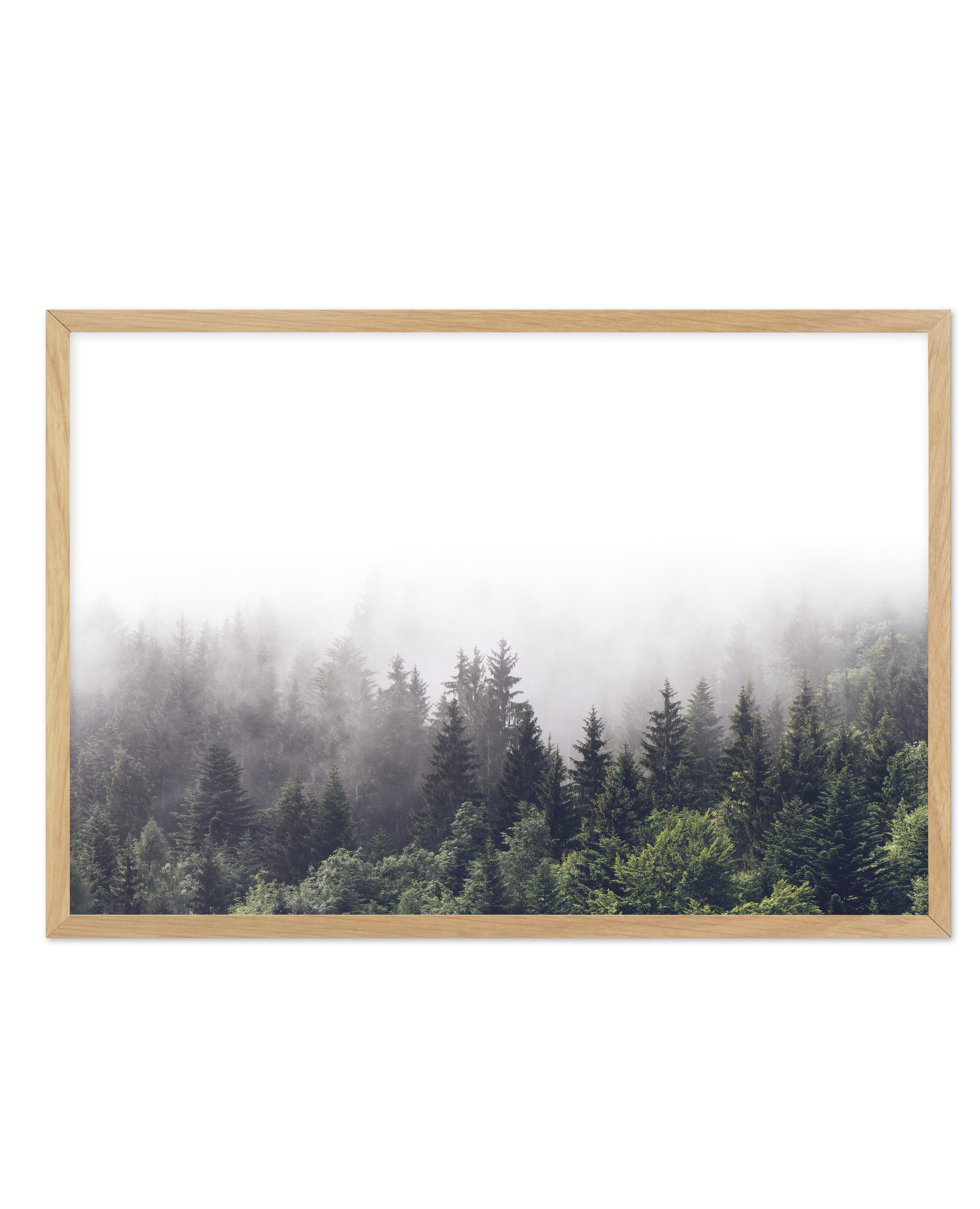 La ForâˆšÂ¢Ã€Ãœâ‰ˆÂ°âˆšÃ‰â€šÃ„âˆžâˆšÂ¢Ã€Ãœâ€šÃ„â€ âˆšÃ‰Â¬â‰ âˆšÂ¢Ã€Ãœâ‰ˆÂ°âˆšÃ‰â‰ˆÃ¬âˆšÂ¢â€šÃ‡Â¨â‰ˆÂ°âˆšÃ‰â€šÃ„Ã»âˆšÃ‰Â¬Â¥âˆšÂ¢Ã€Ãœâ‰ˆÂ°âˆšÃ‰â€šÃ„âˆžâˆšÂ¢â€šÃ‡Â¨â‰ˆÂ°âˆšÃ‰â€šÃ„Ã»âˆšÃ‰Â¬âˆ‚âˆšÂ¢Ã€Ãœâ‰ˆÂ°âˆšÃ‰â€šÃ„Â°âˆšÃ‡Â¬Â¨âˆšÂ¢â€šÃ„Ã»Â¬Â¢t LS - Olive et Oriel | Shop Art Prints & Posters Online