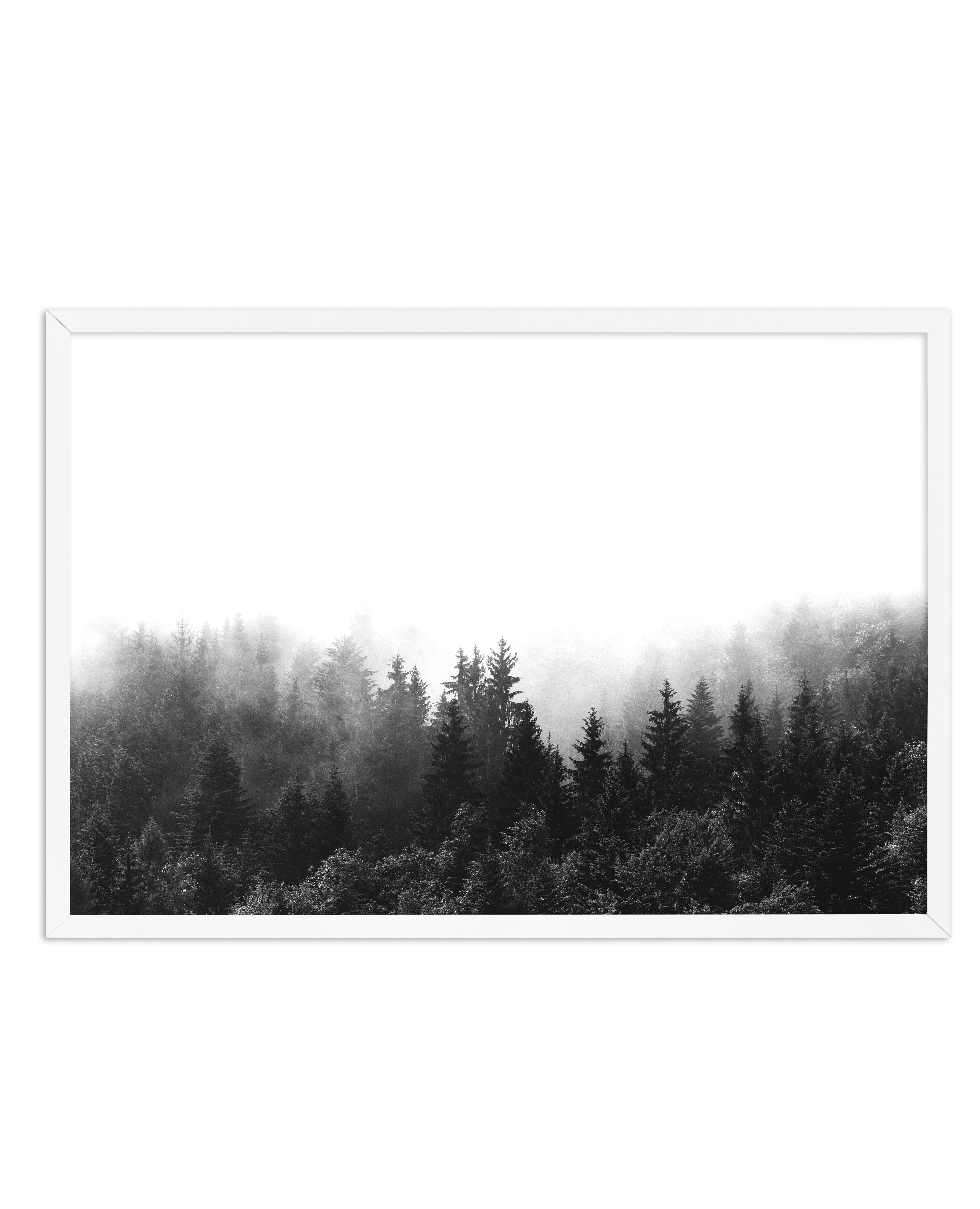 La ForâˆšÂ¢Ã€Ãœâ‰ˆÂ°âˆšÃ‰â€šÃ„âˆžâˆšÂ¢Ã€Ãœâ€šÃ„â€ âˆšÃ‰Â¬â‰ âˆšÂ¢Ã€Ãœâ‰ˆÂ°âˆšÃ‰â‰ˆÃ¬âˆšÂ¢â€šÃ‡Â¨â‰ˆÂ°âˆšÃ‰â€šÃ„Ã»âˆšÃ‰Â¬Â¥âˆšÂ¢Ã€Ãœâ‰ˆÂ°âˆšÃ‰â€šÃ„âˆžâˆšÂ¢â€šÃ‡Â¨â‰ˆÂ°âˆšÃ‰â€šÃ„Ã»âˆšÃ‰Â¬âˆ‚âˆšÂ¢Ã€Ãœâ‰ˆÂ°âˆšÃ‰â€šÃ„Â°âˆšÃ‡Â¬Â¨âˆšÂ¢â€šÃ„Ã»Â¬Â¢t | LS | B&W - Olive et Oriel | Shop Art Prints & Posters Online