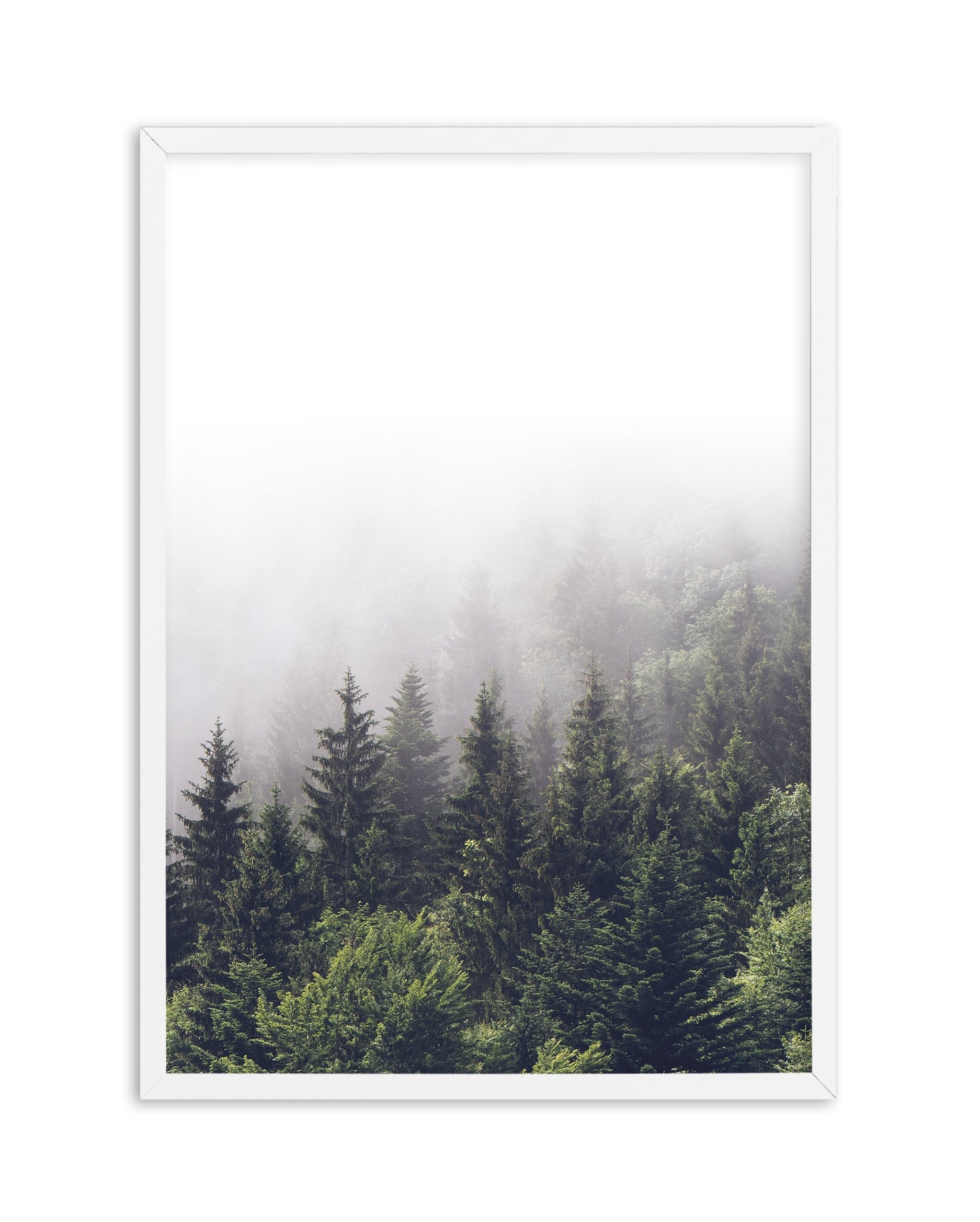 La ForâˆšÂ¢Ã€Ãœâ‰ˆÂ°âˆšÃ‰â€šÃ„âˆžâˆšÂ¢Ã€Ãœâ€šÃ„â€ âˆšÃ‰Â¬â‰ âˆšÂ¢Ã€Ãœâ‰ˆÂ°âˆšÃ‰â‰ˆÃ¬âˆšÂ¢â€šÃ‡Â¨â‰ˆÂ°âˆšÃ‰â€šÃ„Ã»âˆšÃ‰Â¬Â¥âˆšÂ¢Ã€Ãœâ‰ˆÂ°âˆšÃ‰â€šÃ„âˆžâˆšÂ¢â€šÃ‡Â¨â‰ˆÂ°âˆšÃ‰â€šÃ„Ã»âˆšÃ‰Â¬âˆ‚âˆšÂ¢Ã€Ãœâ‰ˆÂ°âˆšÃ‰â€šÃ„Â°âˆšÃ‡Â¬Â¨âˆšÂ¢â€šÃ„Ã»Â¬Â¢t | Portrait - Olive et Oriel | Shop Art Prints & Posters Online