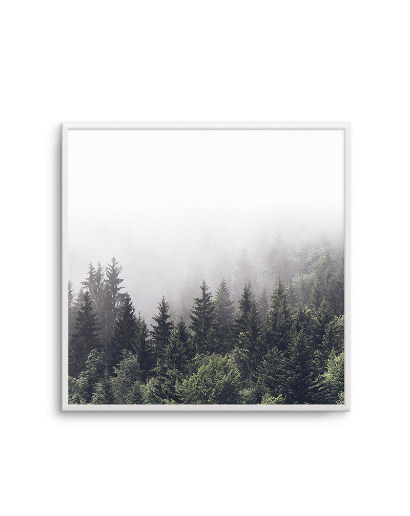 Misty Forest SQ Art Print-PRINT-Olive et Oriel-Olive et Oriel-Buy-Australian-Art-Prints-Online-with-Olive-et-Oriel-Your-Artwork-Specialists-Austrailia-Decorate-With-Coastal-Photo-Wall-Art-Prints-From-Our-Beach-House-Artwork-Collection-Fine-Poster-and-Framed-Artwork