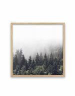 Misty Forest SQ Art Print-PRINT-Olive et Oriel-Olive et Oriel-70x70 cm | 27.5" x 27.5"-Oak-With White Border-Buy-Australian-Art-Prints-Online-with-Olive-et-Oriel-Your-Artwork-Specialists-Austrailia-Decorate-With-Coastal-Photo-Wall-Art-Prints-From-Our-Beach-House-Artwork-Collection-Fine-Poster-and-Framed-Artwork