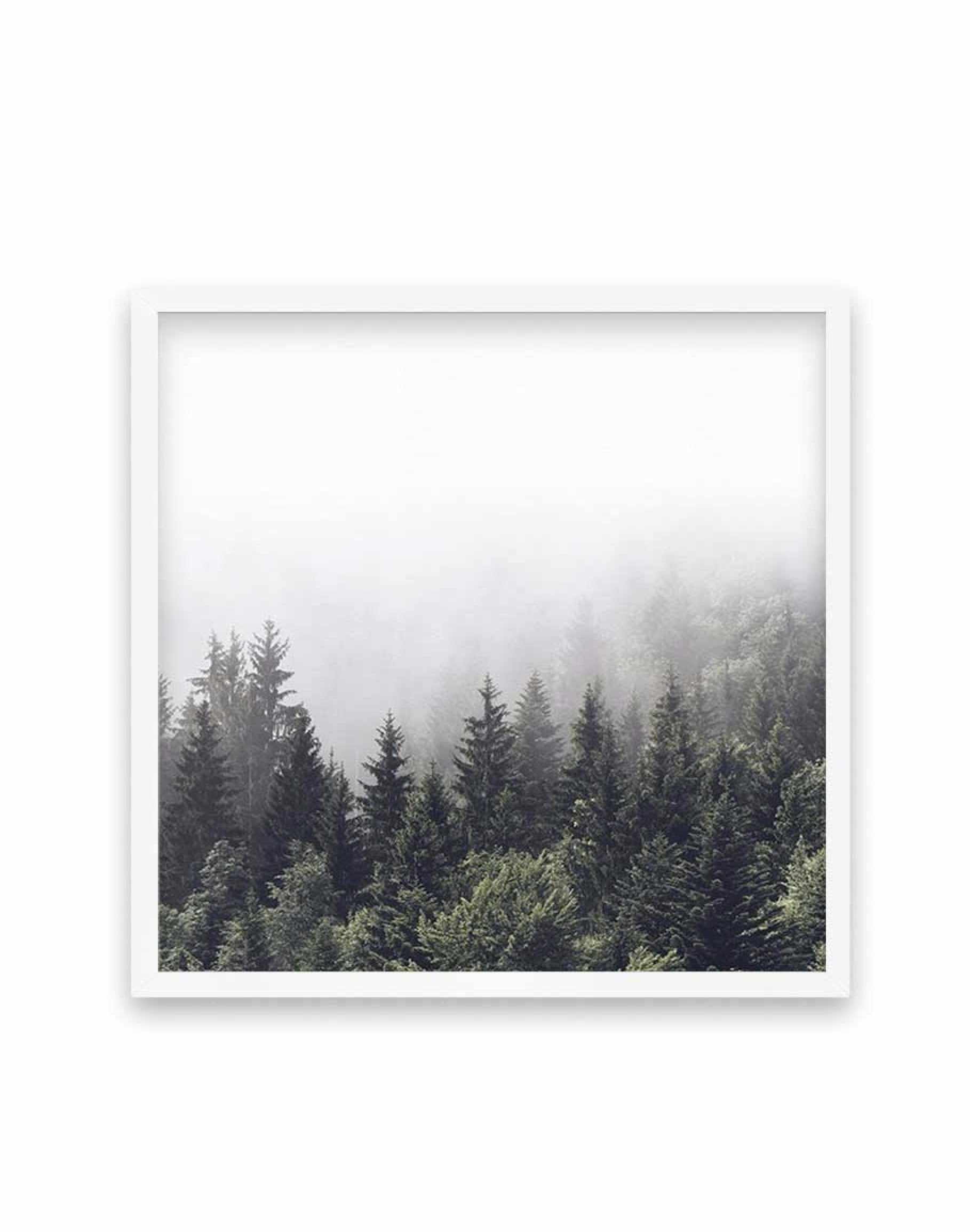 Misty Forest SQ Art Print-PRINT-Olive et Oriel-Olive et Oriel-70x70 cm | 27.5" x 27.5"-White-With White Border-Buy-Australian-Art-Prints-Online-with-Olive-et-Oriel-Your-Artwork-Specialists-Austrailia-Decorate-With-Coastal-Photo-Wall-Art-Prints-From-Our-Beach-House-Artwork-Collection-Fine-Poster-and-Framed-Artwork