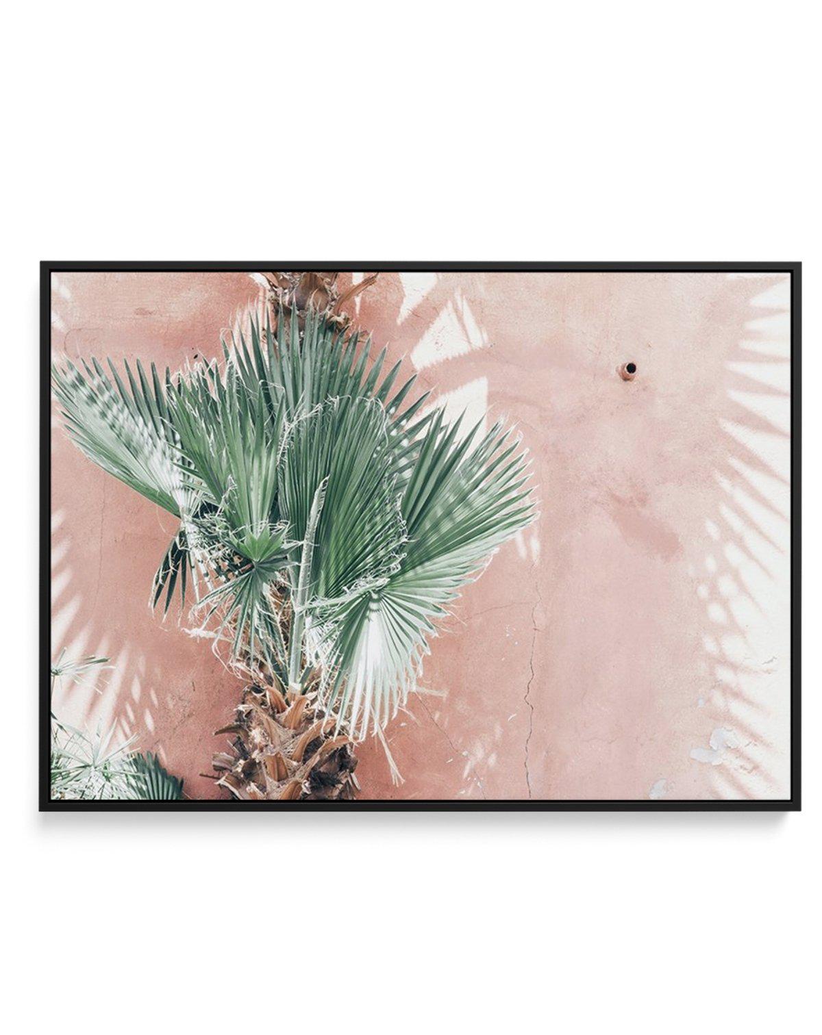 LA Palms | LS | Framed Canvas-CANVAS-You can shop wall art online with Olive et Oriel for everything from abstract art to fun kids wall art. Our beautiful modern art prints and canvas art are available from large canvas prints to wall art paintings and our proudly Australian artwork collection offers only the highest quality framed large wall art and canvas art Australia - You can buy fashion photography prints or Hampton print posters and paintings on canvas from Olive et Oriel and have them de