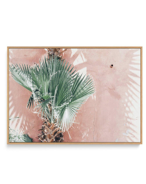 LA Palms | LS | Framed Canvas-CANVAS-You can shop wall art online with Olive et Oriel for everything from abstract art to fun kids wall art. Our beautiful modern art prints and canvas art are available from large canvas prints to wall art paintings and our proudly Australian artwork collection offers only the highest quality framed large wall art and canvas art Australia - You can buy fashion photography prints or Hampton print posters and paintings on canvas from Olive et Oriel and have them de