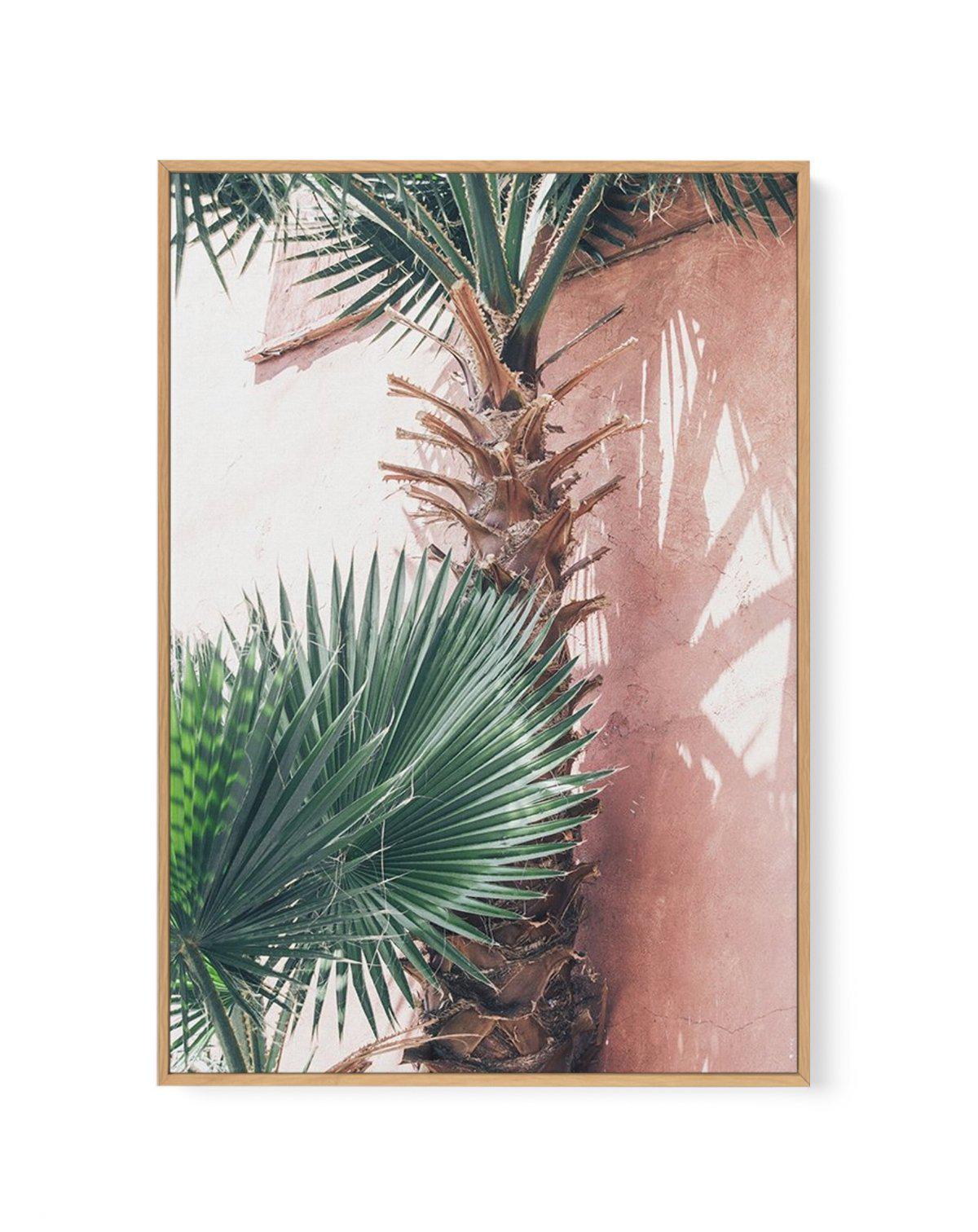 LA Palms | PT | Framed Canvas-CANVAS-You can shop wall art online with Olive et Oriel for everything from abstract art to fun kids wall art. Our beautiful modern art prints and canvas art are available from large canvas prints to wall art paintings and our proudly Australian artwork collection offers only the highest quality framed large wall art and canvas art Australia - You can buy fashion photography prints or Hampton print posters and paintings on canvas from Olive et Oriel and have them de