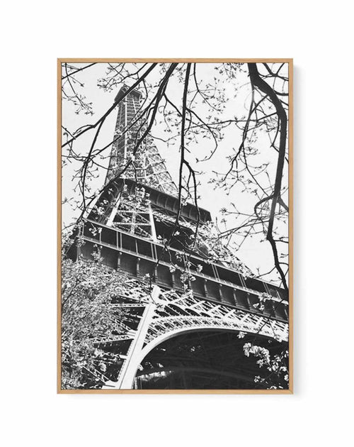 La Tour Eiffel | Framed Canvas-CANVAS-You can shop wall art online with Olive et Oriel for everything from abstract art to fun kids wall art. Our beautiful modern art prints and canvas art are available from large canvas prints to wall art paintings and our proudly Australian artwork collection offers only the highest quality framed large wall art and canvas art Australia - You can buy fashion photography prints or Hampton print posters and paintings on canvas from Olive et Oriel and have them d