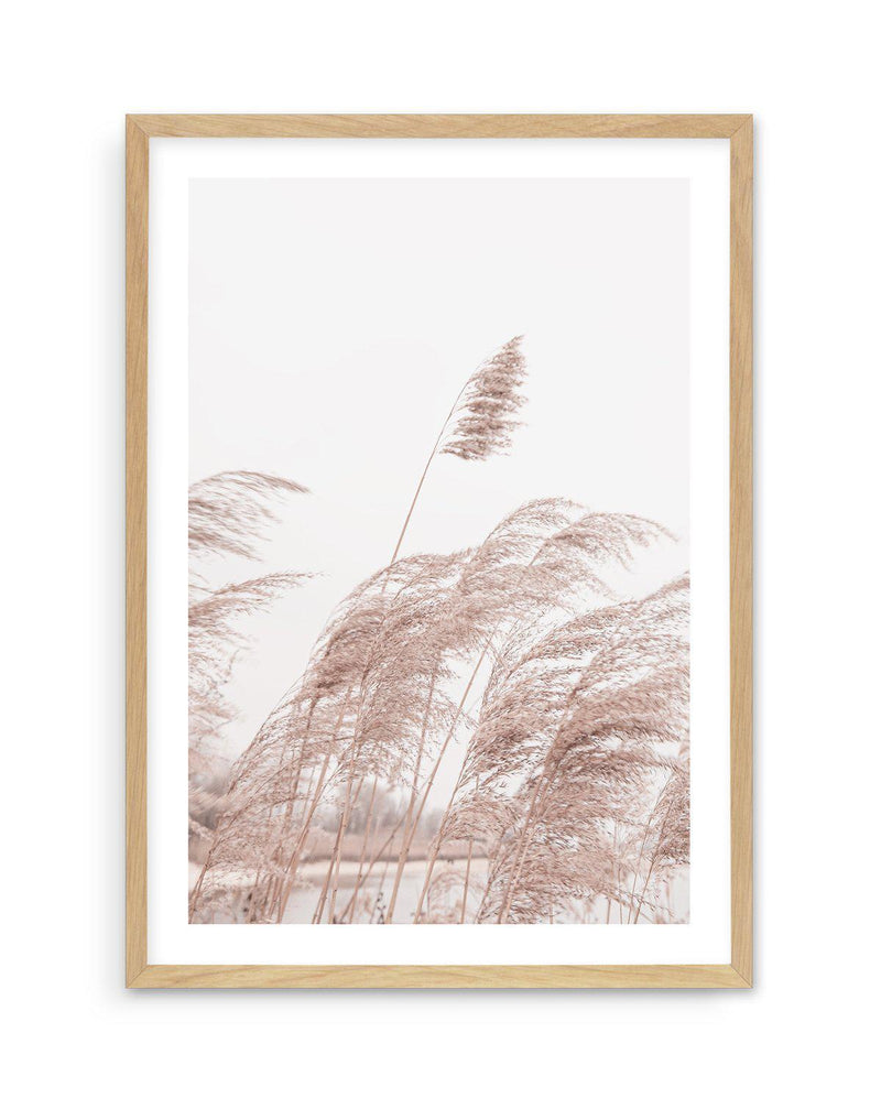 Lakeside Pampas I Art Print-PRINT-Olive et Oriel-Olive et Oriel-A5 | 5.8" x 8.3" | 14.8 x 21cm-Oak-With White Border-Buy-Australian-Art-Prints-Online-with-Olive-et-Oriel-Your-Artwork-Specialists-Austrailia-Decorate-With-Coastal-Photo-Wall-Art-Prints-From-Our-Beach-House-Artwork-Collection-Fine-Poster-and-Framed-Artwork