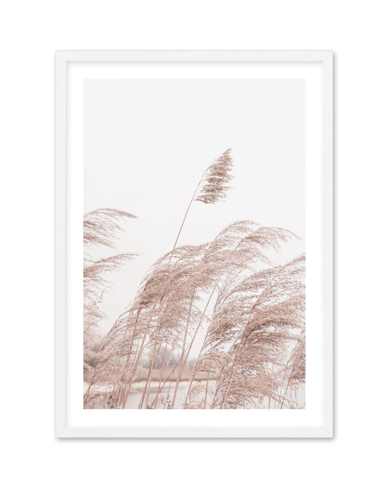 Lakeside Pampas I Art Print-PRINT-Olive et Oriel-Olive et Oriel-A5 | 5.8" x 8.3" | 14.8 x 21cm-White-With White Border-Buy-Australian-Art-Prints-Online-with-Olive-et-Oriel-Your-Artwork-Specialists-Austrailia-Decorate-With-Coastal-Photo-Wall-Art-Prints-From-Our-Beach-House-Artwork-Collection-Fine-Poster-and-Framed-Artwork