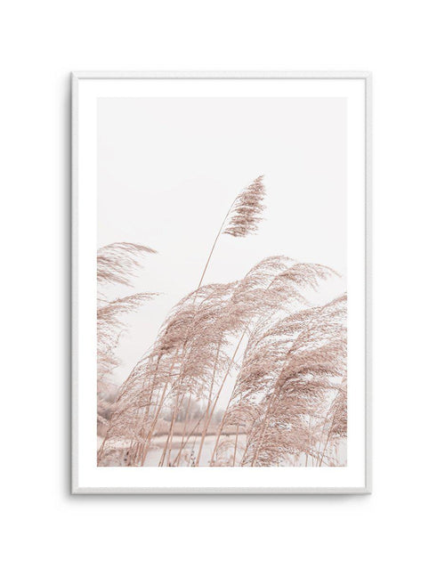 Lakeside Pampas I Art Print-PRINT-Olive et Oriel-Olive et Oriel-A5 | 5.8" x 8.3" | 14.8 x 21cm-Unframed Art Print-With White Border-Buy-Australian-Art-Prints-Online-with-Olive-et-Oriel-Your-Artwork-Specialists-Austrailia-Decorate-With-Coastal-Photo-Wall-Art-Prints-From-Our-Beach-House-Artwork-Collection-Fine-Poster-and-Framed-Artwork