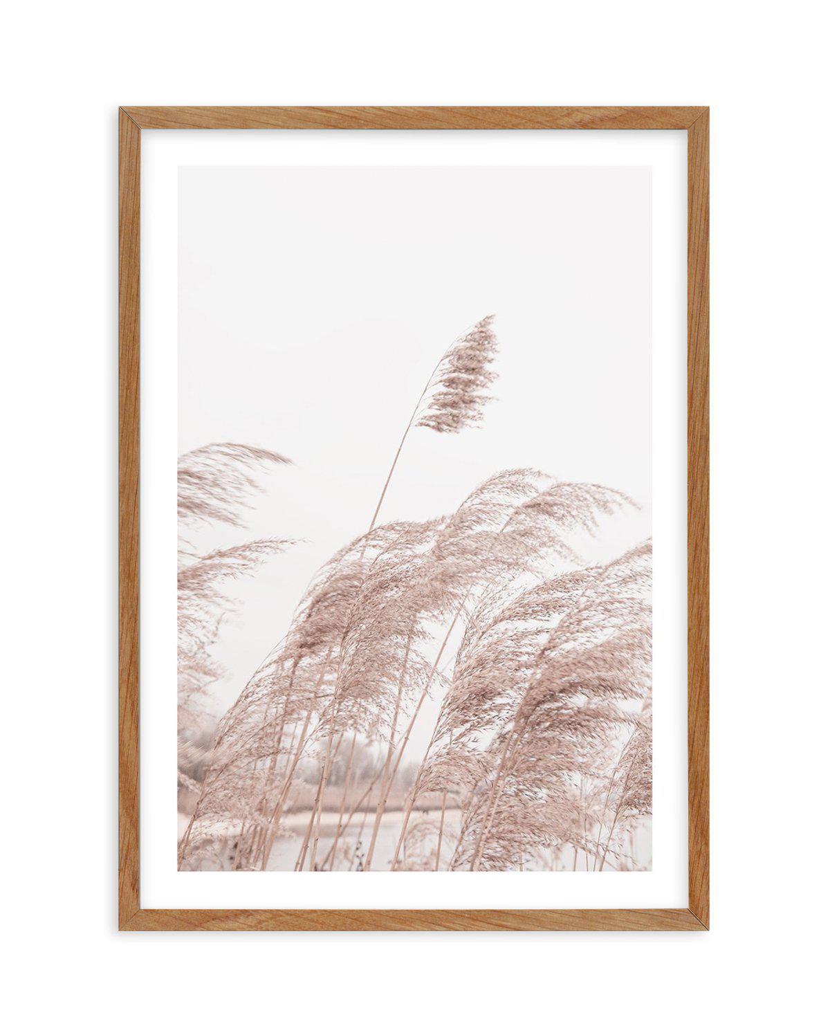 Lakeside Pampas I Art Print-PRINT-Olive et Oriel-Olive et Oriel-Buy-Australian-Art-Prints-Online-with-Olive-et-Oriel-Your-Artwork-Specialists-Austrailia-Decorate-With-Coastal-Photo-Wall-Art-Prints-From-Our-Beach-House-Artwork-Collection-Fine-Poster-and-Framed-Artwork