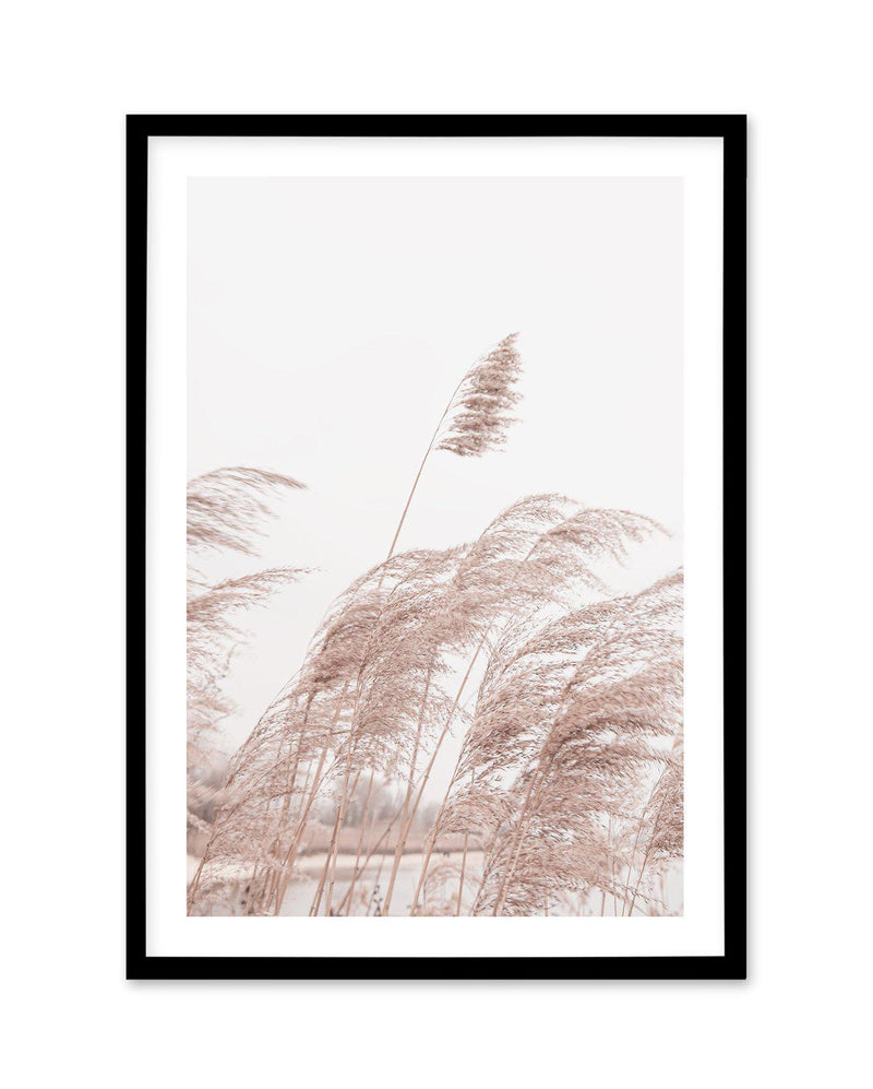 Lakeside Pampas I Art Print-PRINT-Olive et Oriel-Olive et Oriel-A5 | 5.8" x 8.3" | 14.8 x 21cm-Black-With White Border-Buy-Australian-Art-Prints-Online-with-Olive-et-Oriel-Your-Artwork-Specialists-Austrailia-Decorate-With-Coastal-Photo-Wall-Art-Prints-From-Our-Beach-House-Artwork-Collection-Fine-Poster-and-Framed-Artwork