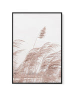 Lakeside Pampas I | Framed Canvas-CANVAS-You can shop wall art online with Olive et Oriel for everything from abstract art to fun kids wall art. Our beautiful modern art prints and canvas art are available from large canvas prints to wall art paintings and our proudly Australian artwork collection offers only the highest quality framed large wall art and canvas art Australia - You can buy fashion photography prints or Hampton print posters and paintings on canvas from Olive et Oriel and have the