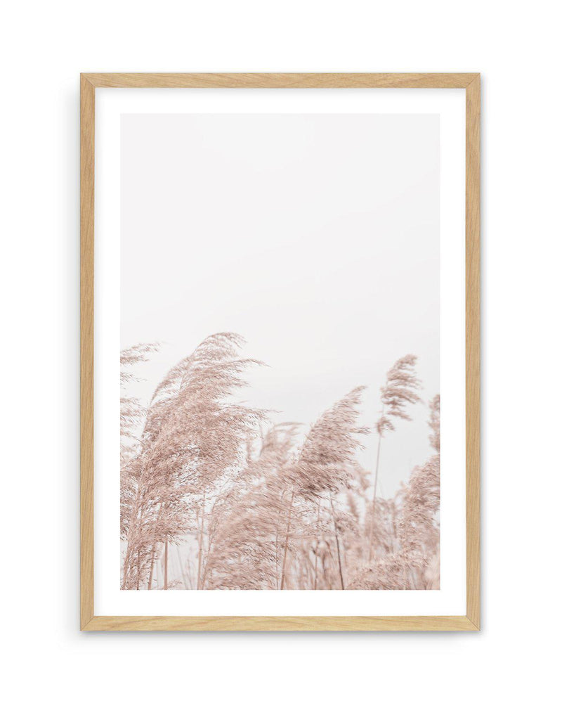 Lakeside Pampas II Art Print-PRINT-Olive et Oriel-Olive et Oriel-A5 | 5.8" x 8.3" | 14.8 x 21cm-Oak-With White Border-Buy-Australian-Art-Prints-Online-with-Olive-et-Oriel-Your-Artwork-Specialists-Austrailia-Decorate-With-Coastal-Photo-Wall-Art-Prints-From-Our-Beach-House-Artwork-Collection-Fine-Poster-and-Framed-Artwork