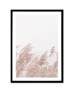 Lakeside Pampas II Art Print-PRINT-Olive et Oriel-Olive et Oriel-A5 | 5.8" x 8.3" | 14.8 x 21cm-Black-With White Border-Buy-Australian-Art-Prints-Online-with-Olive-et-Oriel-Your-Artwork-Specialists-Austrailia-Decorate-With-Coastal-Photo-Wall-Art-Prints-From-Our-Beach-House-Artwork-Collection-Fine-Poster-and-Framed-Artwork