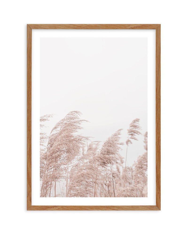 Lakeside Pampas II Art Print-PRINT-Olive et Oriel-Olive et Oriel-Buy-Australian-Art-Prints-Online-with-Olive-et-Oriel-Your-Artwork-Specialists-Austrailia-Decorate-With-Coastal-Photo-Wall-Art-Prints-From-Our-Beach-House-Artwork-Collection-Fine-Poster-and-Framed-Artwork