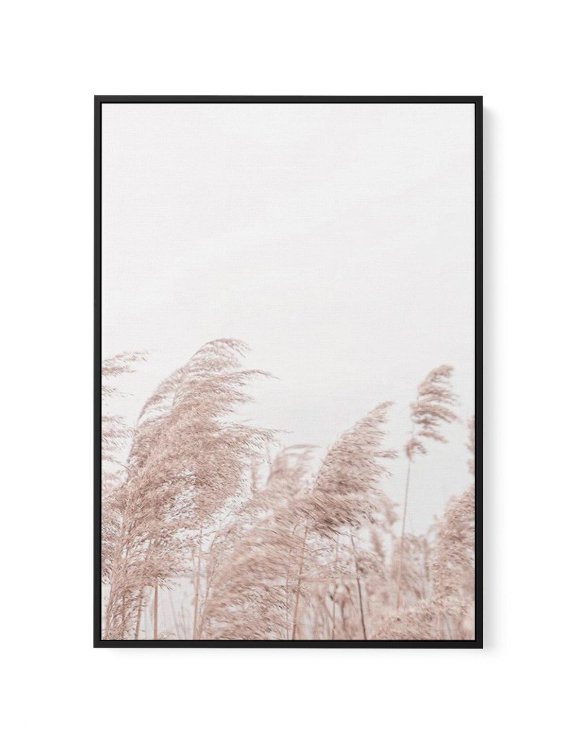 Lakeside Pampas II | Framed Canvas-CANVAS-You can shop wall art online with Olive et Oriel for everything from abstract art to fun kids wall art. Our beautiful modern art prints and canvas art are available from large canvas prints to wall art paintings and our proudly Australian artwork collection offers only the highest quality framed large wall art and canvas art Australia - You can buy fashion photography prints or Hampton print posters and paintings on canvas from Olive et Oriel and have th