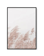 Lakeside Pampas II | Framed Canvas-CANVAS-You can shop wall art online with Olive et Oriel for everything from abstract art to fun kids wall art. Our beautiful modern art prints and canvas art are available from large canvas prints to wall art paintings and our proudly Australian artwork collection offers only the highest quality framed large wall art and canvas art Australia - You can buy fashion photography prints or Hampton print posters and paintings on canvas from Olive et Oriel and have th