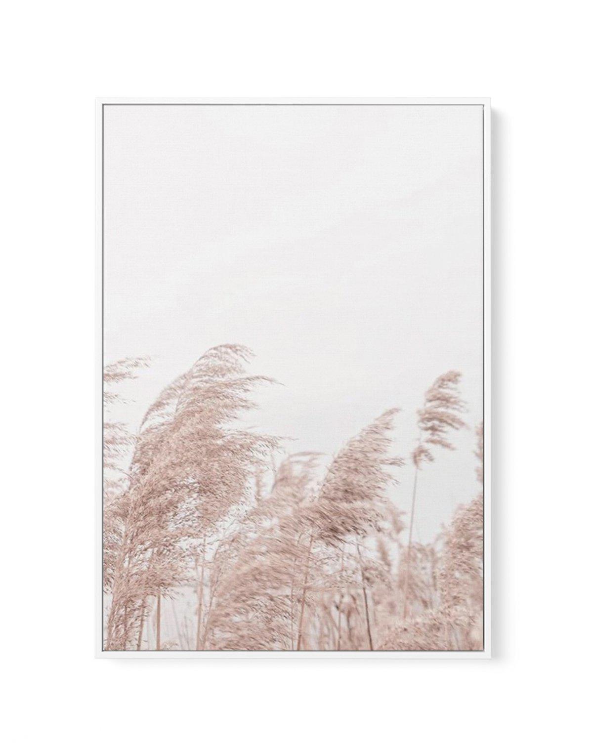 Lakeside Pampas II | Framed Canvas-CANVAS-You can shop wall art online with Olive et Oriel for everything from abstract art to fun kids wall art. Our beautiful modern art prints and canvas art are available from large canvas prints to wall art paintings and our proudly Australian artwork collection offers only the highest quality framed large wall art and canvas art Australia - You can buy fashion photography prints or Hampton print posters and paintings on canvas from Olive et Oriel and have th