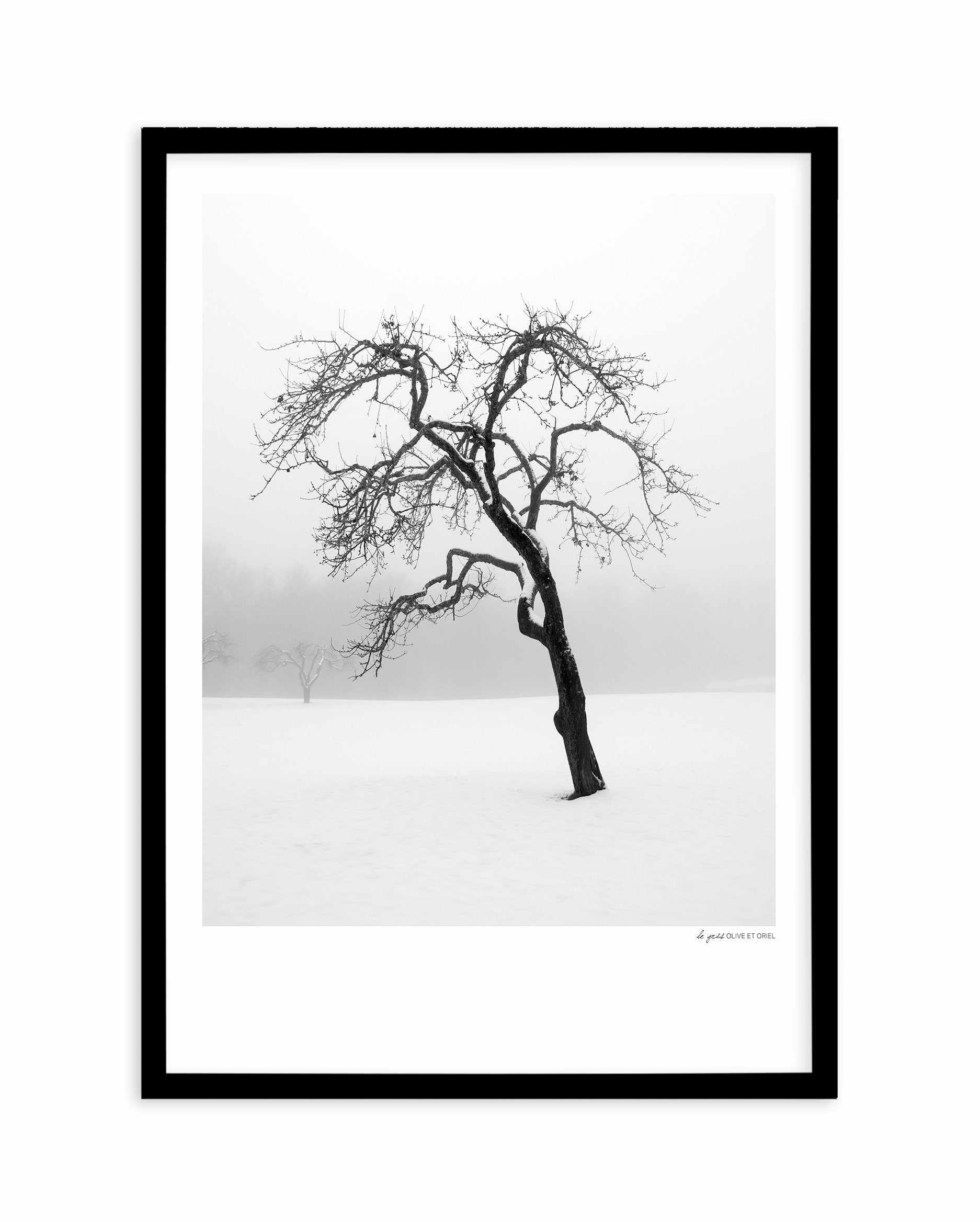 Le Gris Art Print-PRINT-Olive et Oriel-Olive et Oriel-A5 | 5.8" x 8.3" | 14.8 x 21cm-Black-With White Border-Buy-Australian-Art-Prints-Online-with-Olive-et-Oriel-Your-Artwork-Specialists-Austrailia-Decorate-With-Coastal-Photo-Wall-Art-Prints-From-Our-Beach-House-Artwork-Collection-Fine-Poster-and-Framed-Artwork