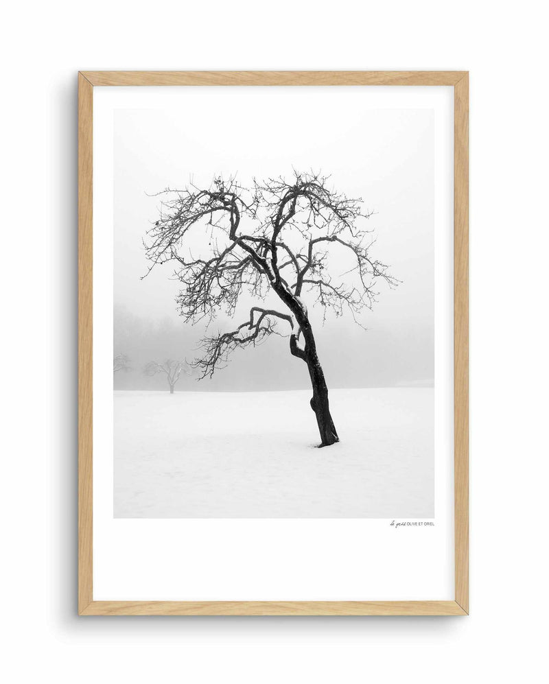 Le Gris Art Print-PRINT-Olive et Oriel-Olive et Oriel-A5 | 5.8" x 8.3" | 14.8 x 21cm-Oak-With White Border-Buy-Australian-Art-Prints-Online-with-Olive-et-Oriel-Your-Artwork-Specialists-Austrailia-Decorate-With-Coastal-Photo-Wall-Art-Prints-From-Our-Beach-House-Artwork-Collection-Fine-Poster-and-Framed-Artwork
