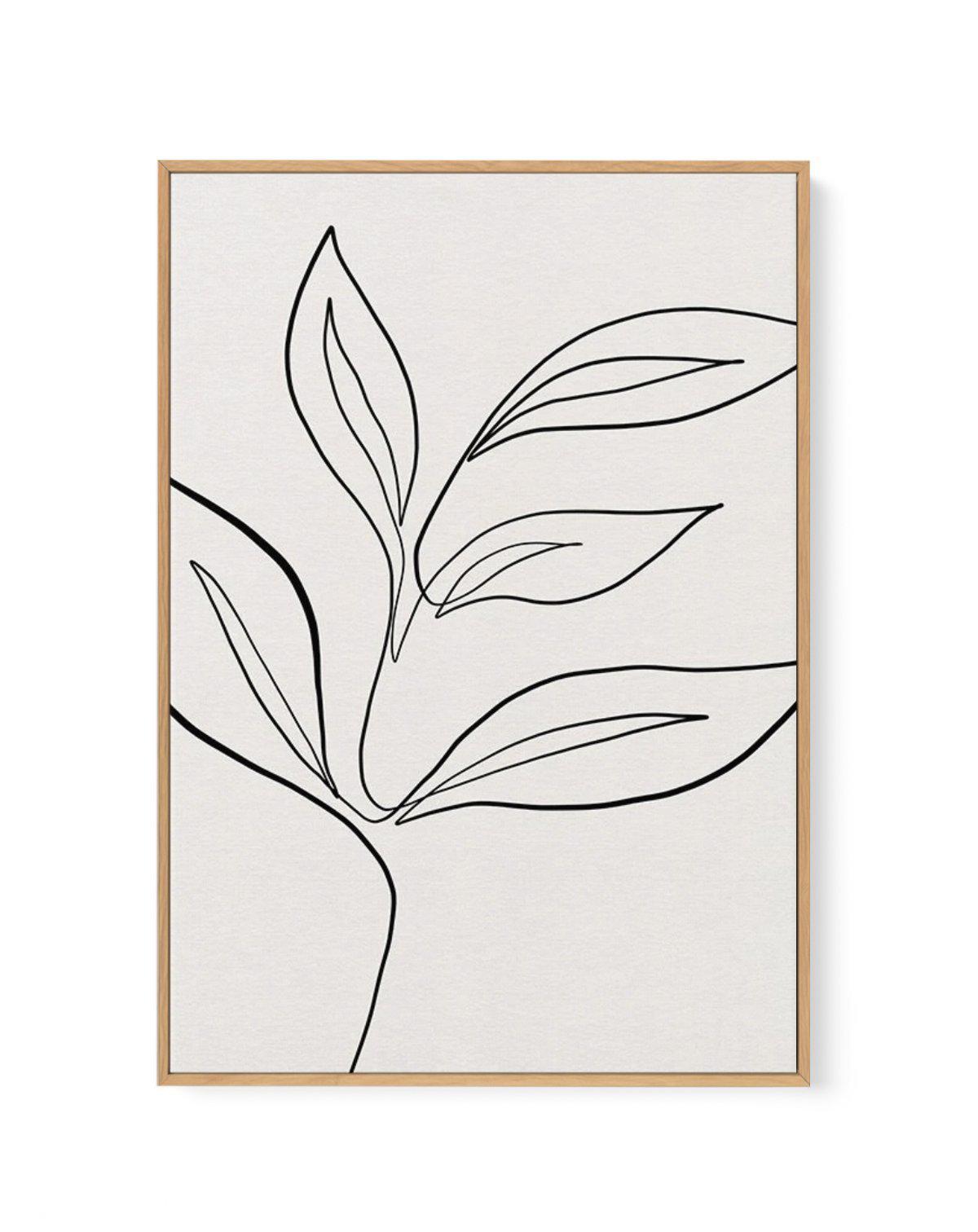 Leaf Line Art I | Framed Canvas-CANVAS-You can shop wall art online with Olive et Oriel for everything from abstract art to fun kids wall art. Our beautiful modern art prints and canvas art are available from large canvas prints to wall art paintings and our proudly Australian artwork collection offers only the highest quality framed large wall art and canvas art Australia - You can buy fashion photography prints or Hampton print posters and paintings on canvas from Olive et Oriel and have them 