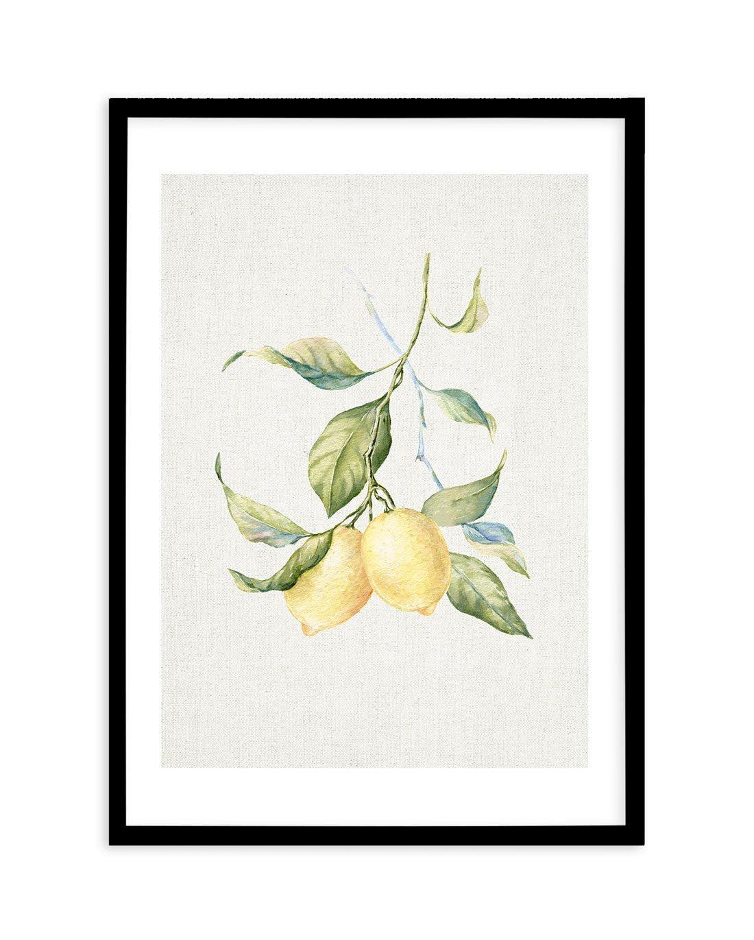 Lemons on Linen III Art Print-PRINT-Olive et Oriel-Olive et Oriel-A5 | 5.8" x 8.3" | 14.8 x 21cm-Black-With White Border-Buy-Australian-Art-Prints-Online-with-Olive-et-Oriel-Your-Artwork-Specialists-Austrailia-Decorate-With-Coastal-Photo-Wall-Art-Prints-From-Our-Beach-House-Artwork-Collection-Fine-Poster-and-Framed-Artwork