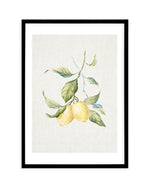 Lemons on Linen III Art Print-PRINT-Olive et Oriel-Olive et Oriel-A5 | 5.8" x 8.3" | 14.8 x 21cm-Black-With White Border-Buy-Australian-Art-Prints-Online-with-Olive-et-Oriel-Your-Artwork-Specialists-Austrailia-Decorate-With-Coastal-Photo-Wall-Art-Prints-From-Our-Beach-House-Artwork-Collection-Fine-Poster-and-Framed-Artwork