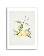 Lemons on Linen III Art Print-PRINT-Olive et Oriel-Olive et Oriel-A5 | 5.8" x 8.3" | 14.8 x 21cm-Unframed Art Print-With White Border-Buy-Australian-Art-Prints-Online-with-Olive-et-Oriel-Your-Artwork-Specialists-Austrailia-Decorate-With-Coastal-Photo-Wall-Art-Prints-From-Our-Beach-House-Artwork-Collection-Fine-Poster-and-Framed-Artwork